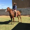 Donna June Hammock - @2183829005 - TikTok