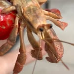 June-bug, JJ, Private, Tom Cruise, Tom hanks - @stay_clawsome - Instagram