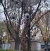 Junelle Hanks - Facebook
