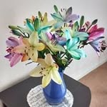 June Hanson - @junehanson3766 - Instagram