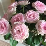 June Hanson - @junehanson59 - Instagram