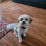 June O'Hare - @juneohare - Instagram