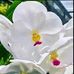Jane Harley - Facebook