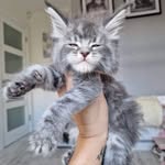 Frank & June Haverty - @frankandjune_haverty - Instagram