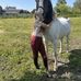 June van Havere - Facebook