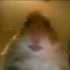 june_helms - @bugs_backup - TikTok