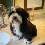 June Hess Berdichewsky - @juneannhess - Instagram