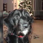 June Hewitt - @june_doodle_bug - Instagram