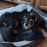 June Higgins - @junehiggins2835 - Instagram