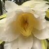 June Higgins - @junehiggins - TikTok