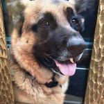 Patsy June higgins - @patsyjune - Instagram
