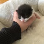 June Hobbs - Facebook