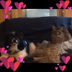 June Hoke-kimbrough - @hokejune - Instagram