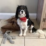 June Holman - @mrsmiserly - Instagram