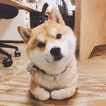 June Huang - @junehx2 - Instagram