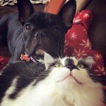 June Huang - @junehua - Instagram