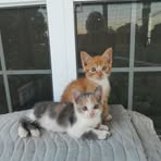 June Hubbard - Facebook