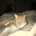 June Hughes - Facebook