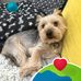 June Hughes - Facebook