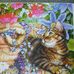 June Humphrey - Facebook