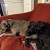 June Keel - Facebook
