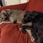 June Keel - @june_keel - Instagram