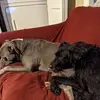 June Keel - @june.keel - TikTok