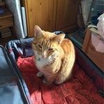 June Kent Gowing - @kentgowing - Instagram