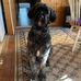 June Kerr - Facebook