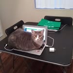 June Kidwell - @kidwelljune - Instagram