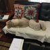 June Kimbell - Facebook