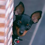 kochu june - @kochujune - Instagram
