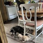 Rose June Kopp - @kopp.rose - Instagram