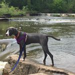 June The Blue Lacy - @junethebluelacy - Instagram