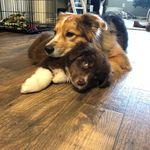 Lacy June & Cash - @cash_n_lacyjune - Instagram
