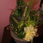 June Lanier Pratt - @junelanierpratt - Instagram