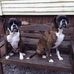 June Latham - Facebook