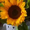 junelatham711 - @junelatham711 - TikTok