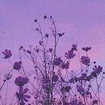 JUNE - @lawvender_june - Instagram