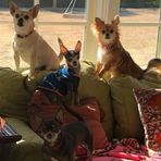 June Williams Levesque - Facebook