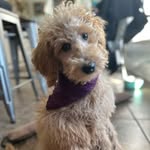 Libby June Carlson - @lifewithlibbyjune - Instagram