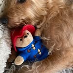 June Lloyd - @junelloyd55 - Instagram