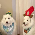 June Logsdon - @buglady43 - Instagram