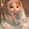 junelog - @junelog - TikTok