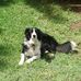 June Lovett - Facebook