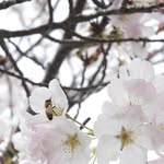 June Lyle Bergren - @junebergren - Instagram
