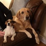 June Lyons - @june.lyons.73 - Instagram