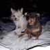 June Mackinnon - Facebook
