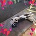 June Mackinnon - Facebook
