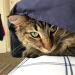 June Majors - @june.bug.majors - Instagram